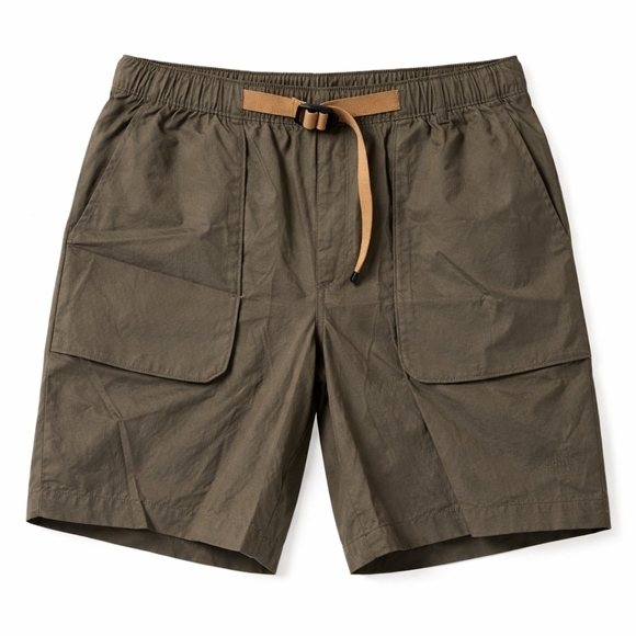 The North Face Taupe Green Men's Standard Fit Shorts - Picture 1 of 5